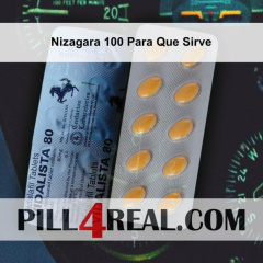 Nizagara 100 Para Que Sirve 854