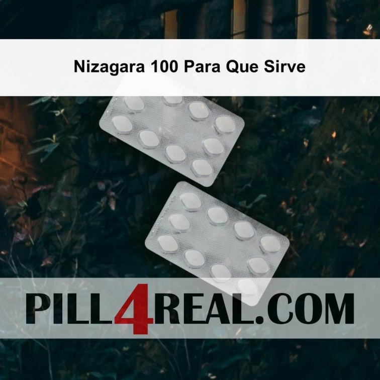 Nizagara 100 Para Que Sirve 871
