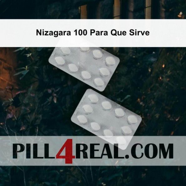 Nizagara 100 Para Que Sirve 871