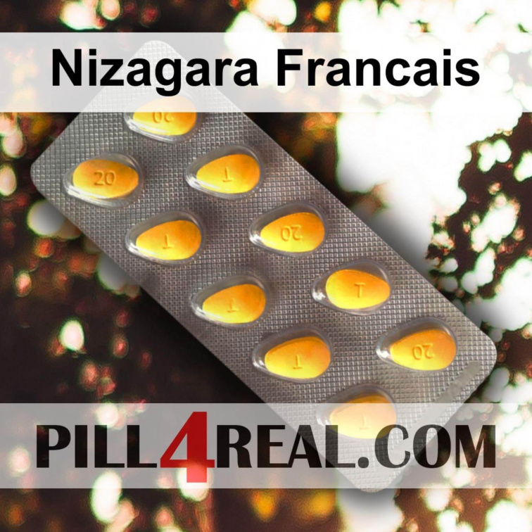 Nizagara Francais 077