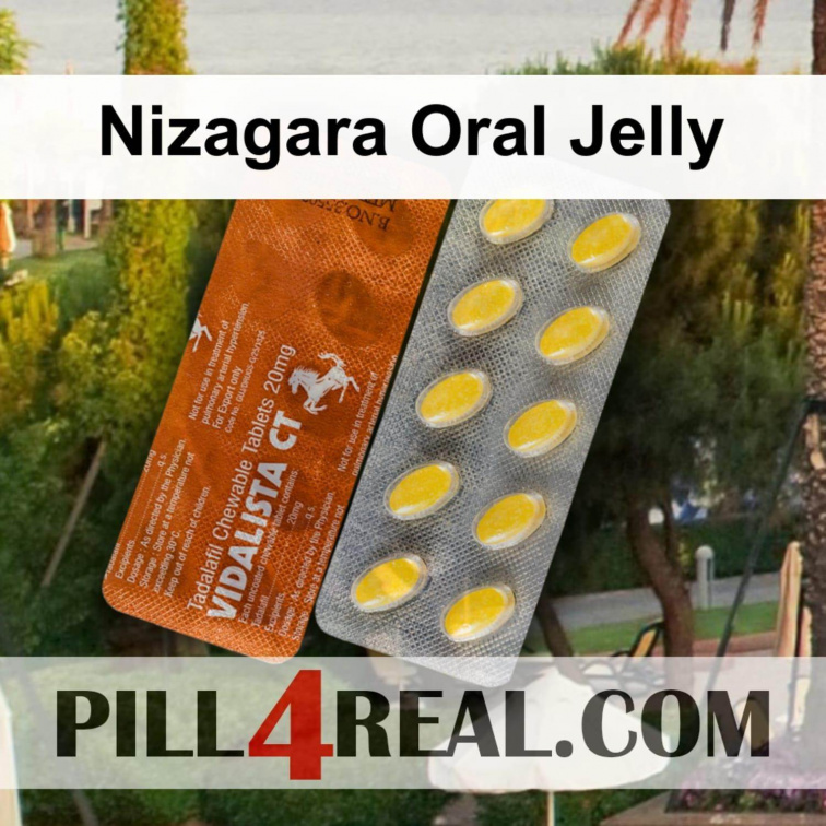 Nizagara Oral Jelly 267