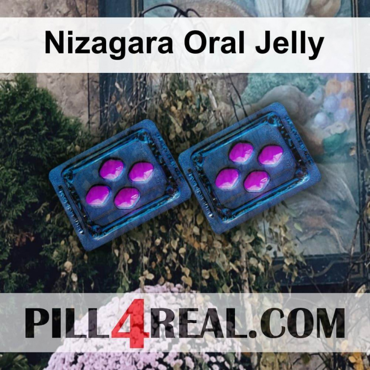 Nizagara Oral Jelly 292