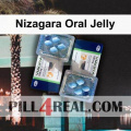 Nizagara Oral Jelly 316