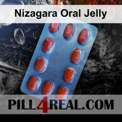 Nizagara Oral Jelly 359