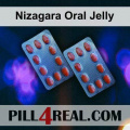 Nizagara Oral Jelly 395