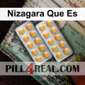 Nizagara Que Es 067