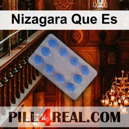 Nizagara Que Es 201