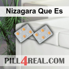 Nizagara Que Es 357