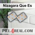 Nizagara Que Es 357