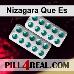 Nizagara Que Es 427