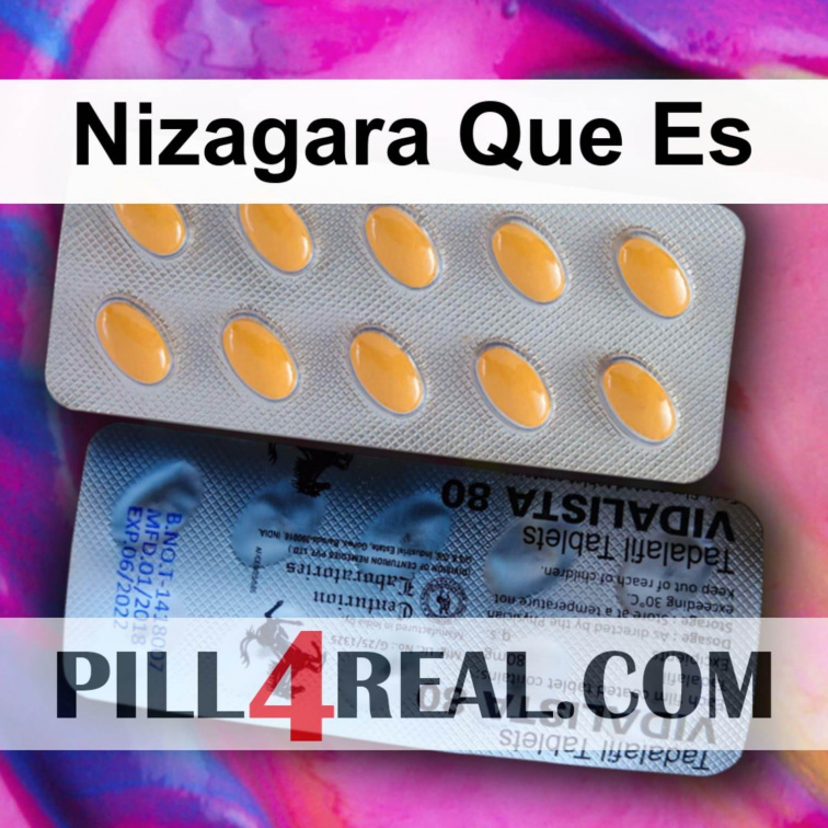 Nizagara Que Es 474