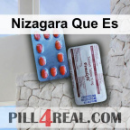 Nizagara Que Es 485