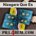 Nizagara Que Es 491