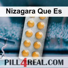 Nizagara Que Es 535