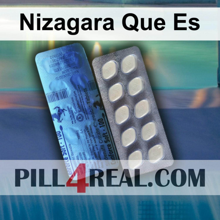 Nizagara Que Es 536