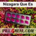 Nizagara Que Es 558