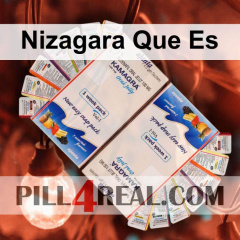Nizagara Que Es 730
