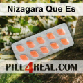 Nizagara Que Es 731