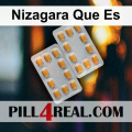 Nizagara Que Es 742