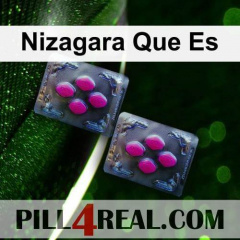 Nizagara Que Es 887