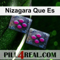 Nizagara Que Es 887