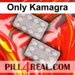 Only Kamagra 395