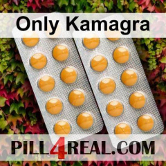 Only Kamagra 953