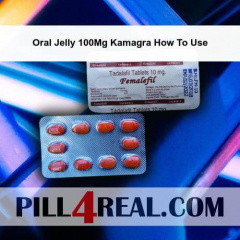 Oral Jelly 100Mg Kamagra How To Use 365