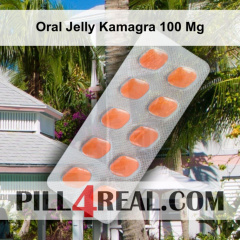 Oral Jelly Kamagra 100 Mg 146