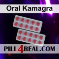Oral Kamagra 228