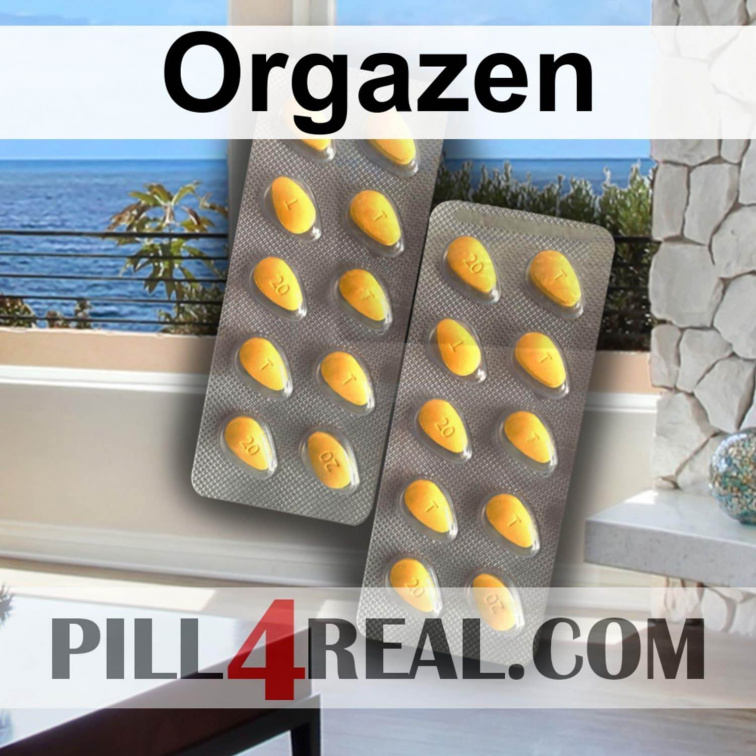 Orgazen 347