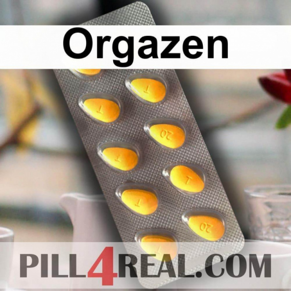 Orgazen_465.jpg