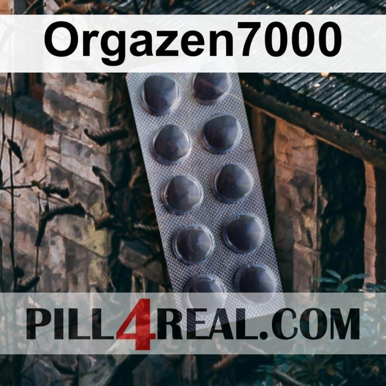 Orgazen7000 243