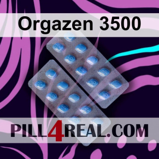 Orgazen 3500 134