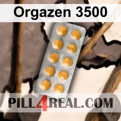 Orgazen 3500 172