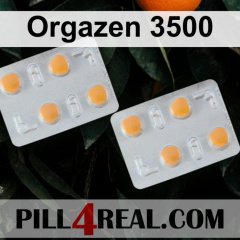 Orgazen 3500 524