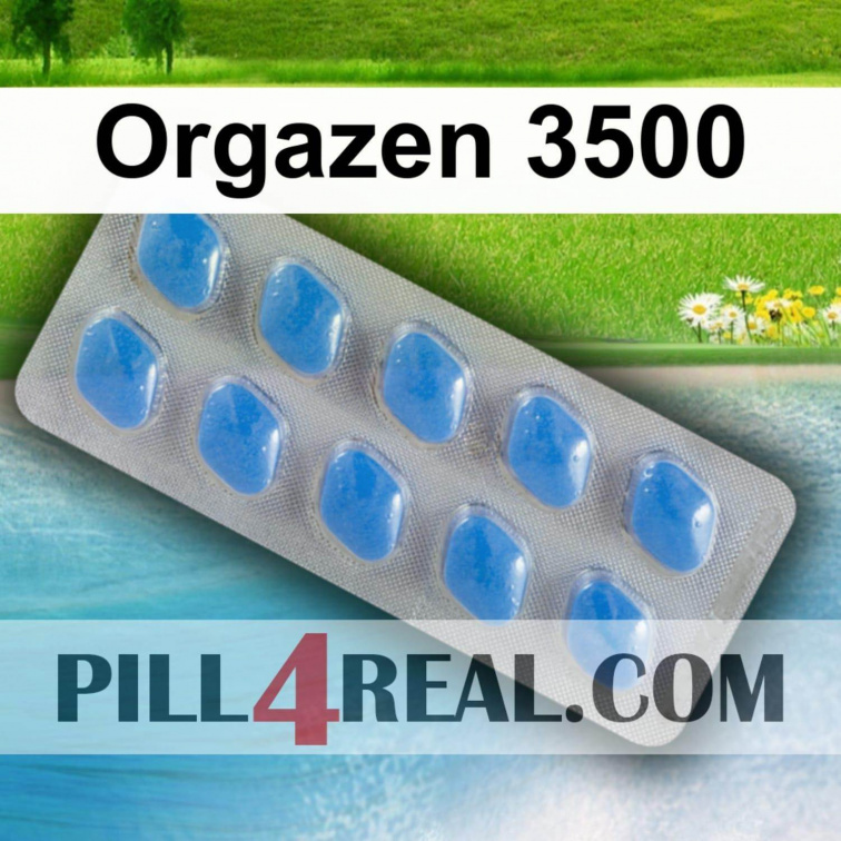 Orgazen 3500 601