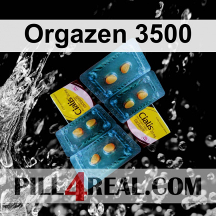 Orgazen 3500 613