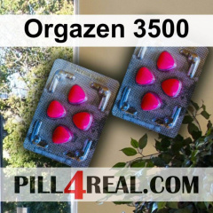 Orgazen 3500 653