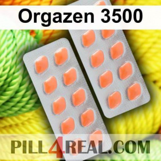 Orgazen 3500 905