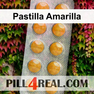 Pastilla Amarilla 469