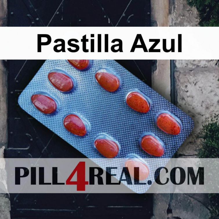 Pastilla Azul 582