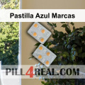 Pastilla Azul Marcas 026