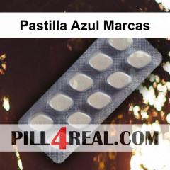 Pastilla Azul Marcas 242