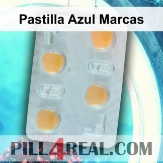 Pastilla Azul Marcas 286