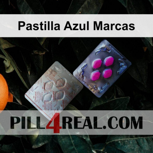 Pastilla_Azul_Marcas_474.jpg