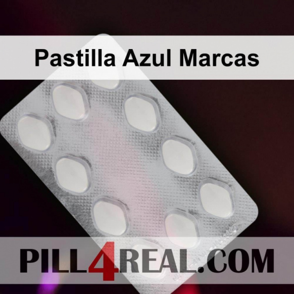 Pastilla Azul Marcas 533