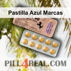 Pastilla Azul Marcas 637