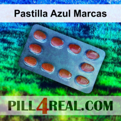 Pastilla Azul Marcas 861