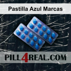 Pastilla Azul Marcas 937